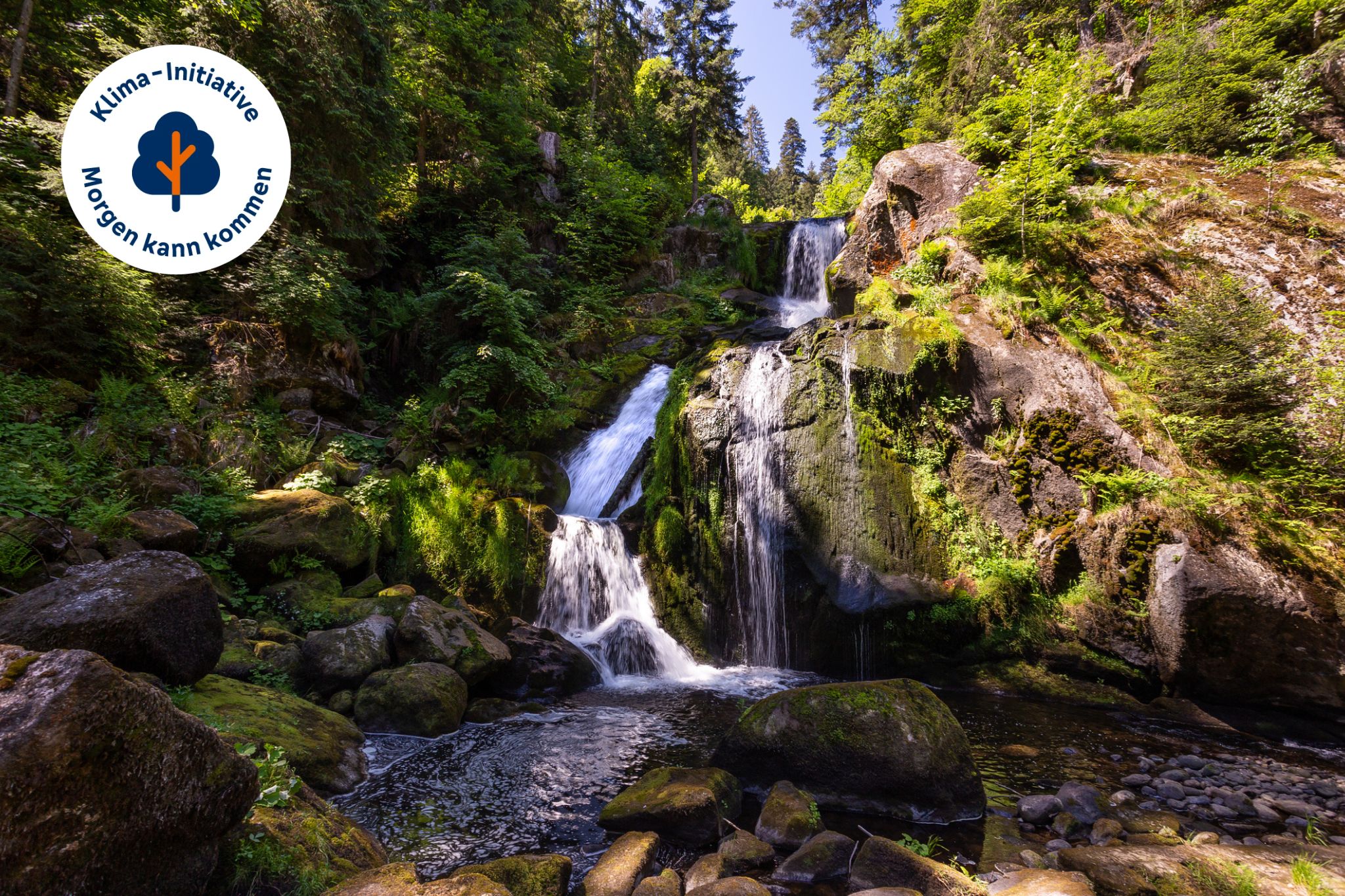 Schwarzwald Schwarzwald Wasserfall