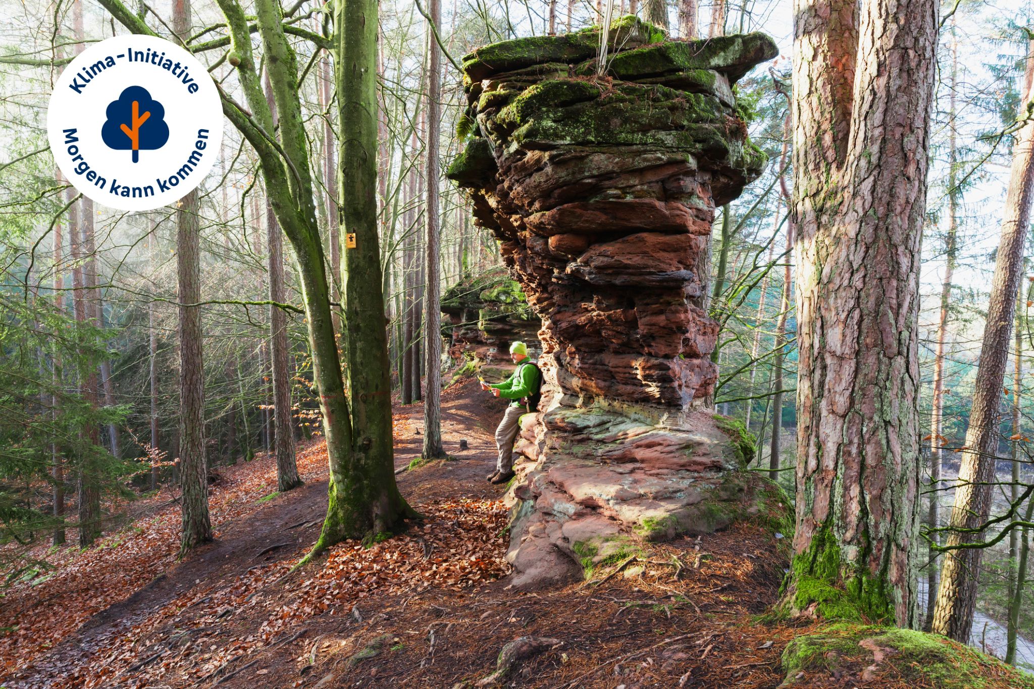 Pfälzer Wald Pfälzer Wald mit Steineturm