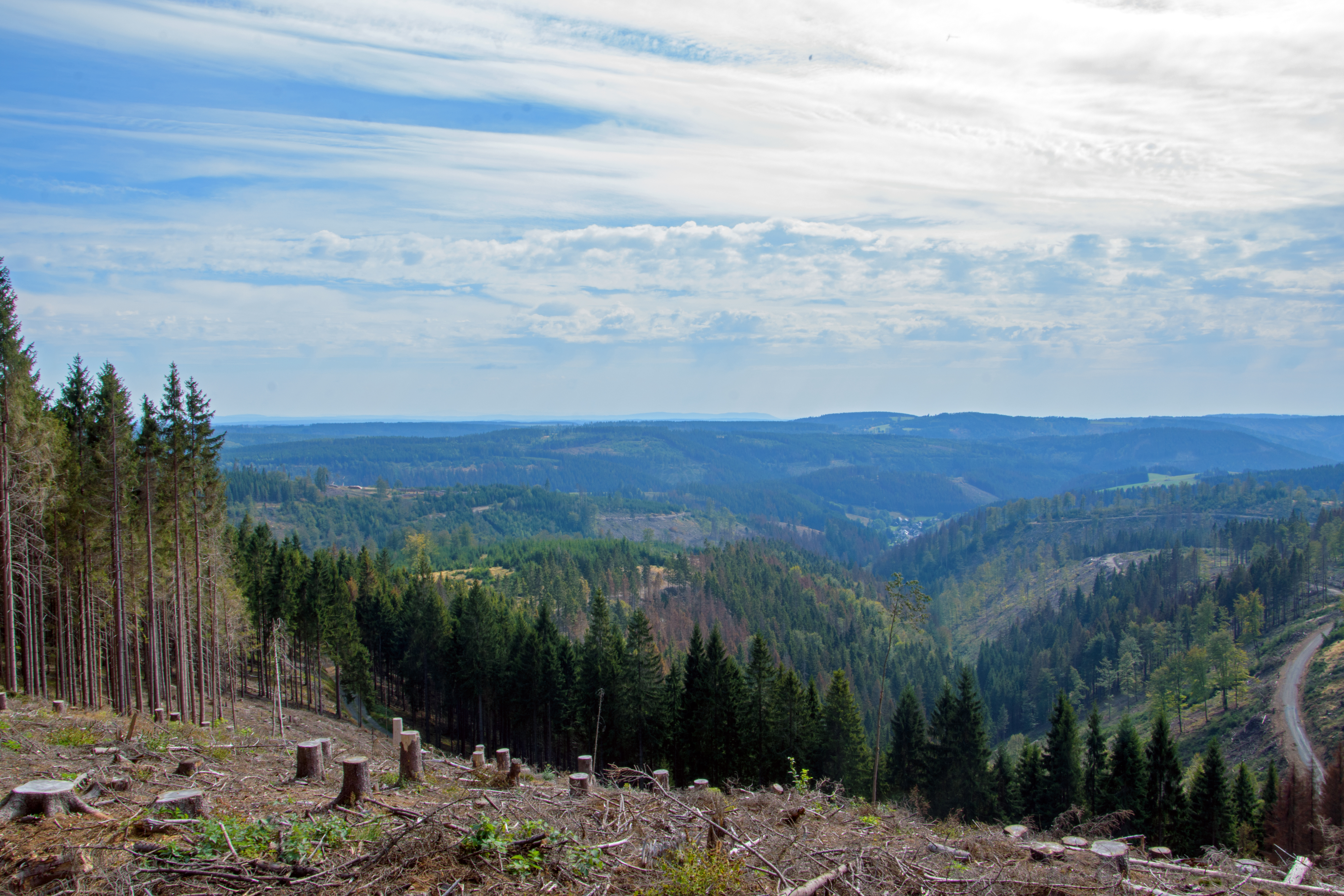 kaputter Thüringer Wald